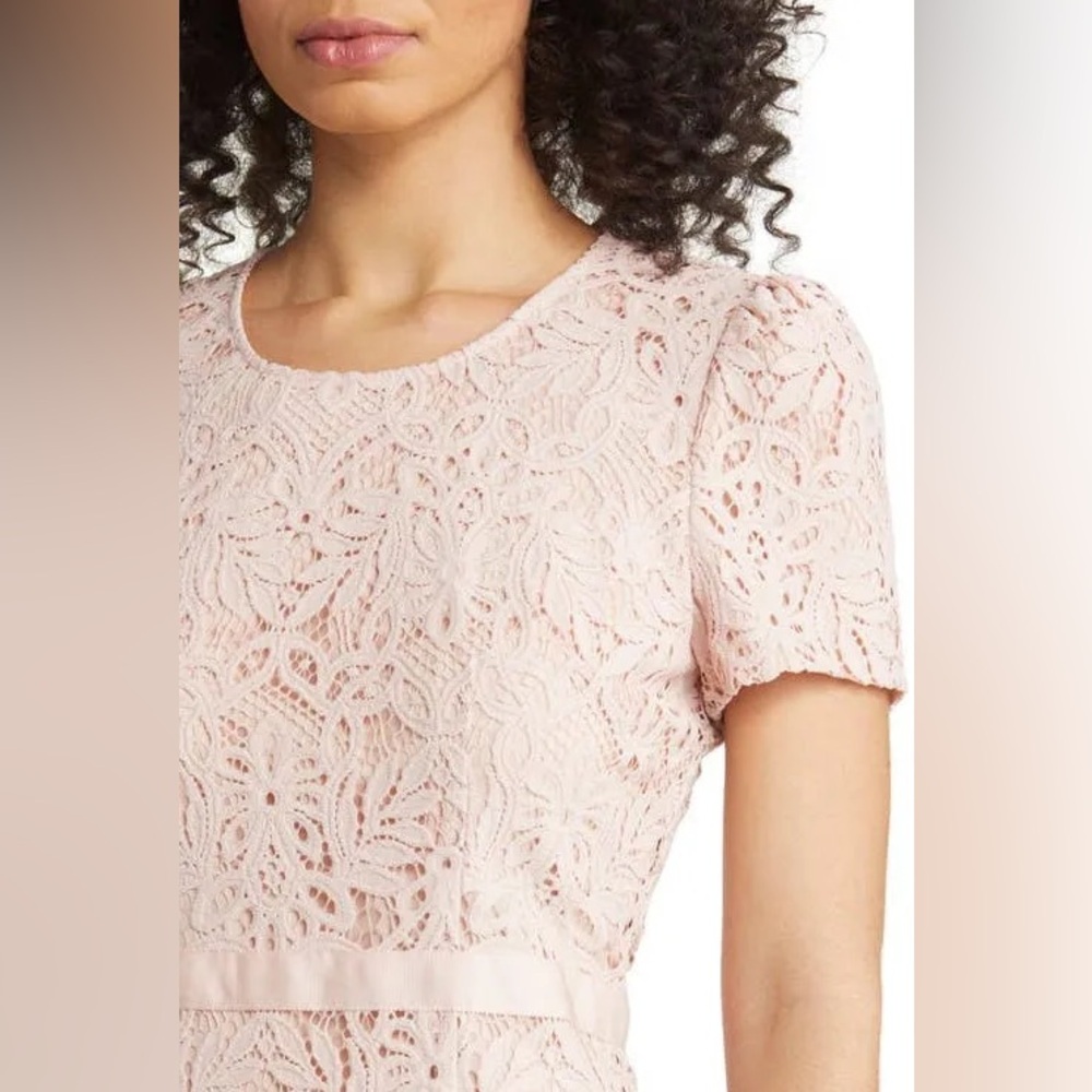 Rachel Parcell Floral Lace Scalloped Hem Sheath Dress in Rose Smoke NWT